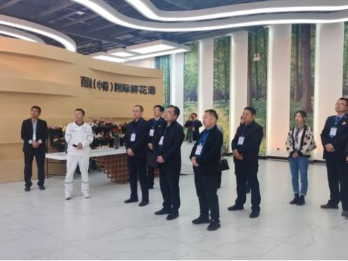 临夏税务 为兰西城市群与兰白经济圈注入“税动力”，携手海东科技共谱发展新篇